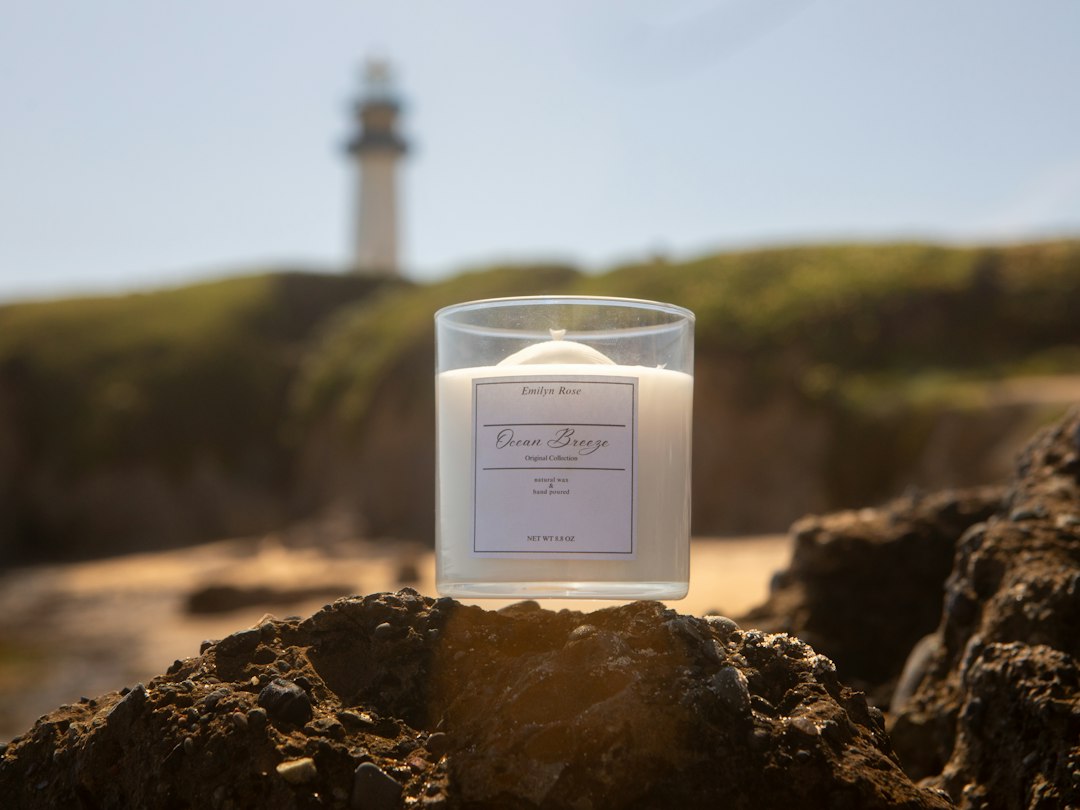 Elevate Your Space with Handmade Coastal Soy Wax Shell Candles: The 2026 Trend Transforming Home Ambiance
