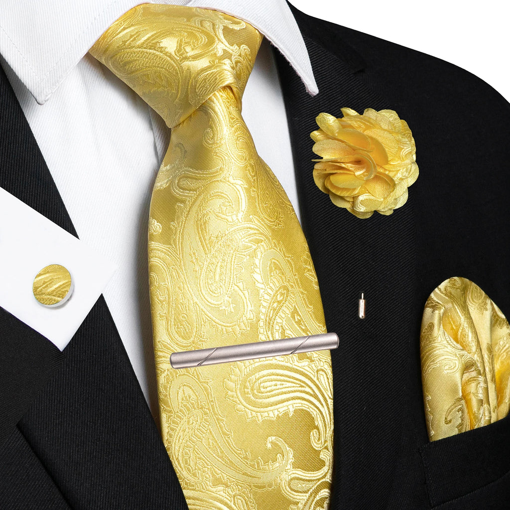 Men Ties Paisley Woven Necktie Set for Wedding Party