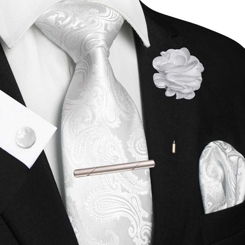 Men Ties Paisley Woven Necktie Set for Wedding Party