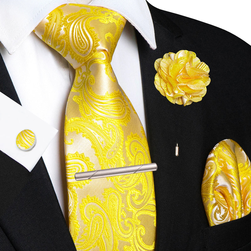 Men Ties Paisley Woven Necktie Set for Wedding Party