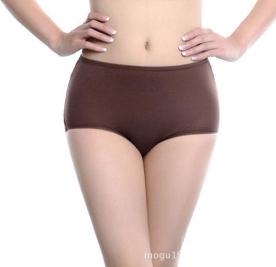 3 pieces women briefs comfortable cool bamboo fiber panties