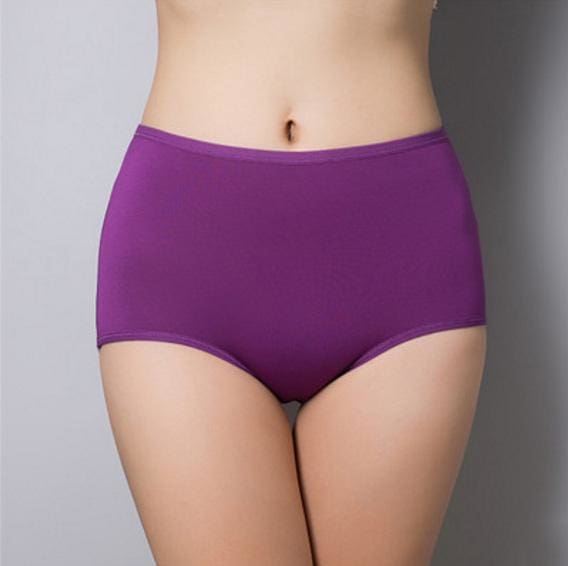 3 pieces women briefs comfortable cool bamboo fiber panties