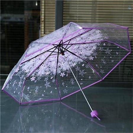 cherry blossom transparent pvc rainy women umbrella purple
