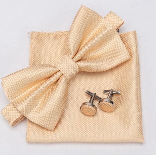 cravat cufflinks fashion butterfly party bow ties champagne