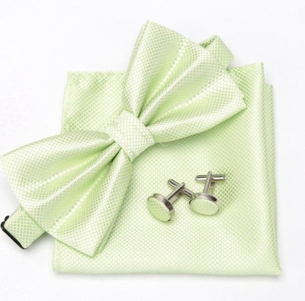 cravat cufflinks fashion butterfly party bow ties light green