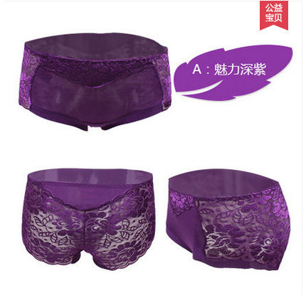 skyhero underwear women panties perspective sexy brand full transparent panty woman lace knickers period panty plus size