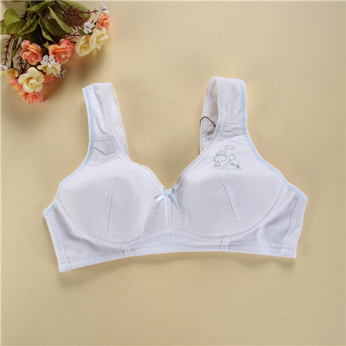 high quality young girl bra cotton underwear small training bra breathable cartoon lace teen bra lingerie for kidssn0051